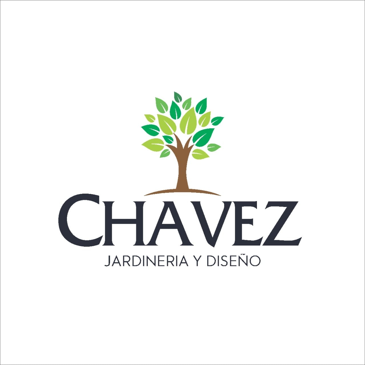CHAVEZ JARDINERÍA Y DISEÑO